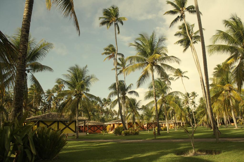 Hotel Patachocas Morro de São Paulo Esterno foto